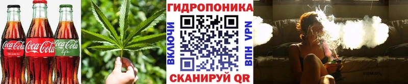 Canna-Cookies марихуана  Купить закладки  Карабулак 