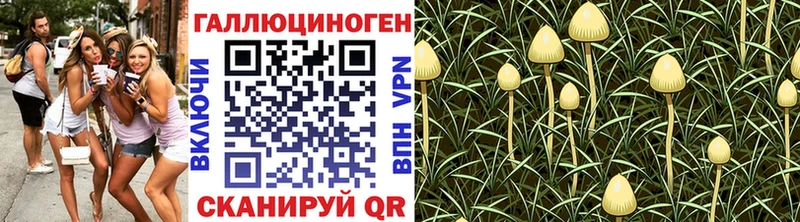Псилоцибиновые грибы GOLDEN TEACHER  Купить закладки  Карабулак 