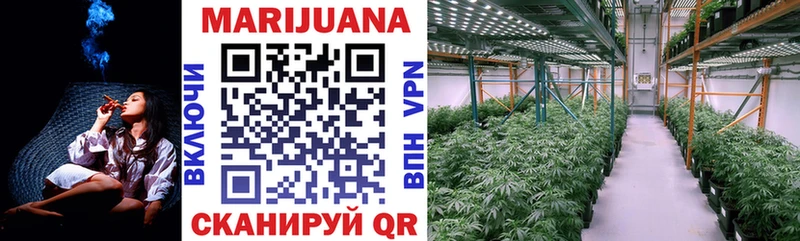 Купить где  Карабулак  МАРИХУАНА тримм 